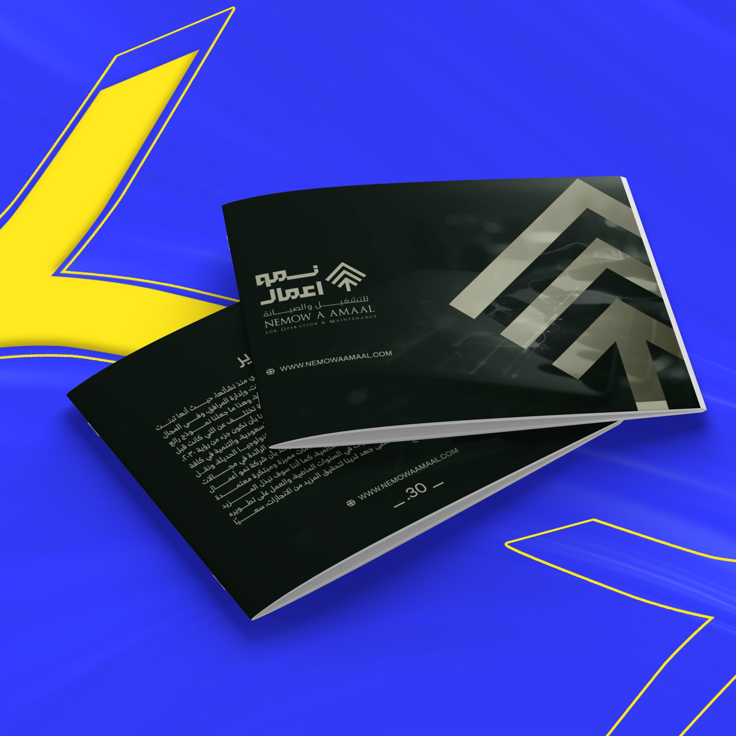 بروفايل شركة نمو أعمال